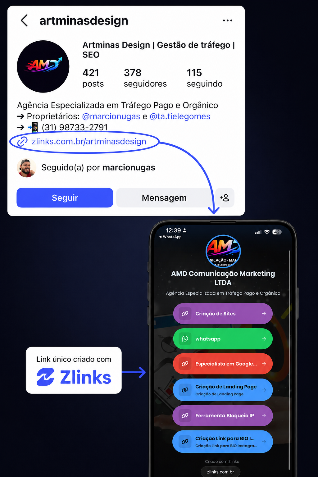 Exemplo Zlinks 2