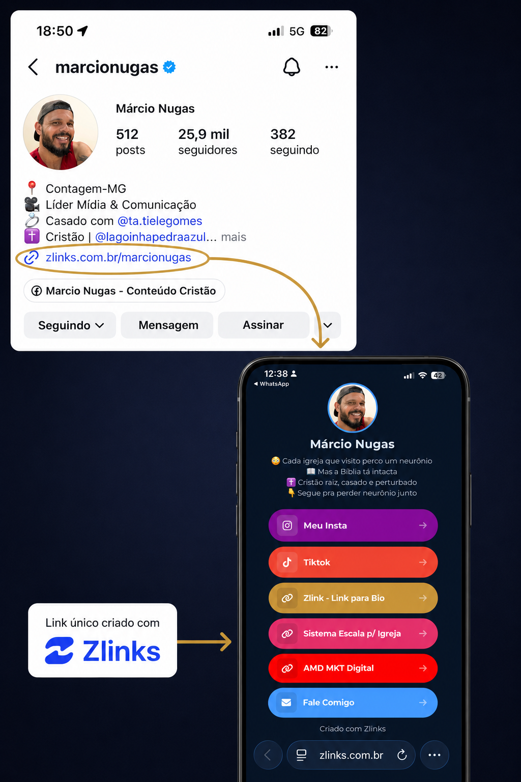 Exemplo Zlinks 3