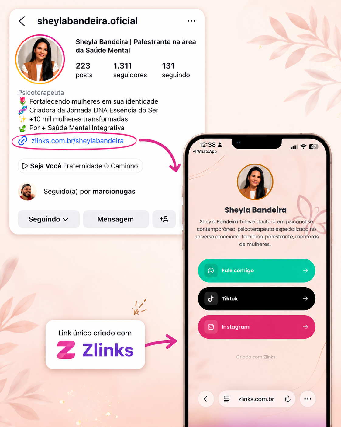 Exemplo Zlinks 4