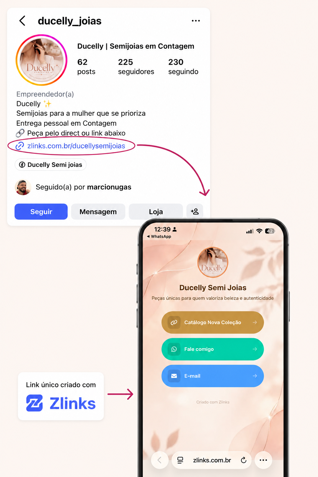 Exemplo Zlinks 1